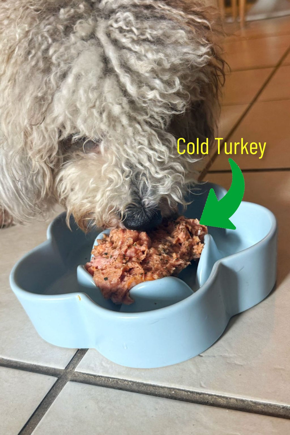 <h1>Picky Dog Approved</h1><h4>See what our customers are saying</h4>