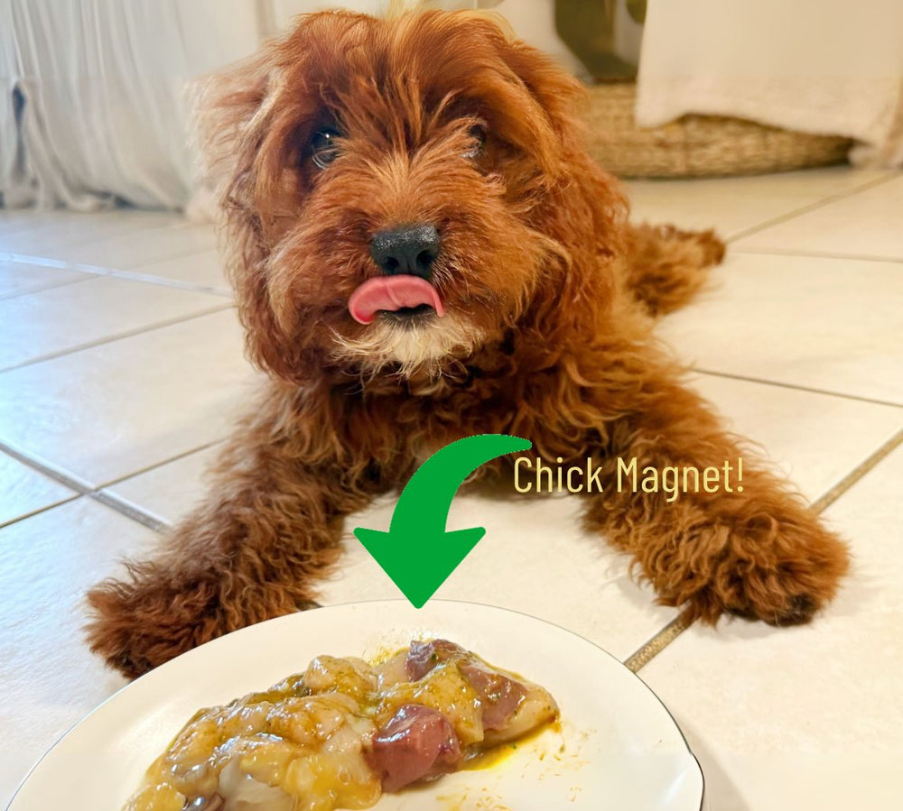 <h1>Picky Dog Approved</h1><h4>See what our customers are saying</h4>