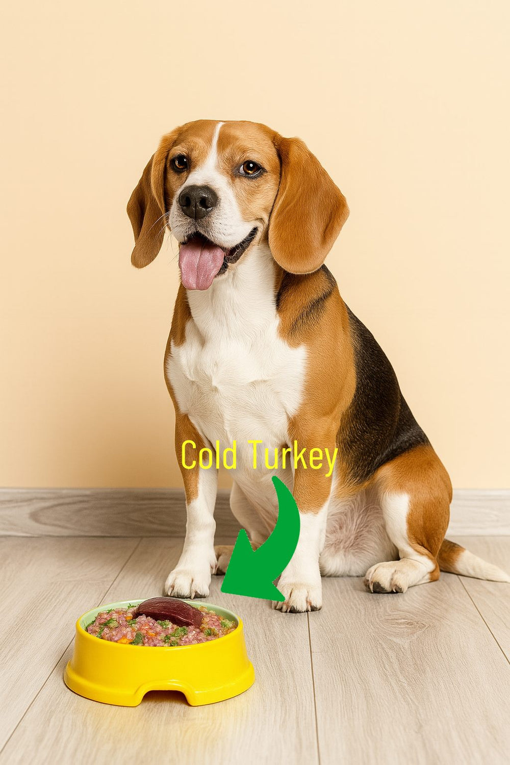 <h1>Picky Dog Approved</h1><h4>See what our customers are saying</h4>